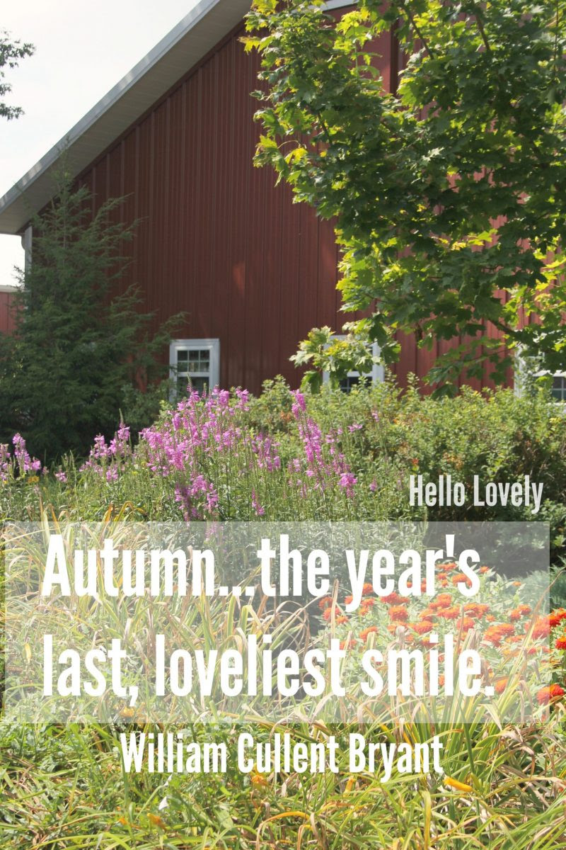 Red barn in fall by Hello Lovely Studio