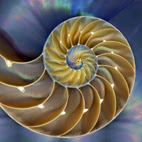 spirale aurea radiestesia radionica medicina vibrazionale