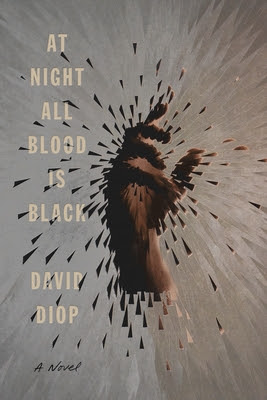 At Night All Blood is Black EPUB