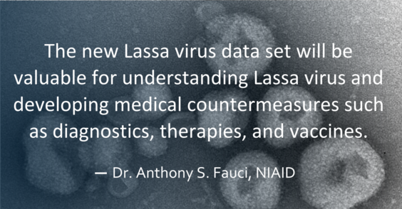 Dr. Fauci pull quote on Lassa virus