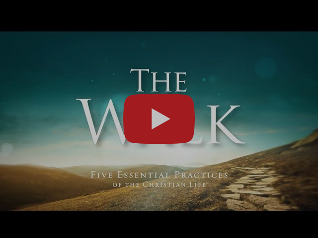 The Walk Promotional Video