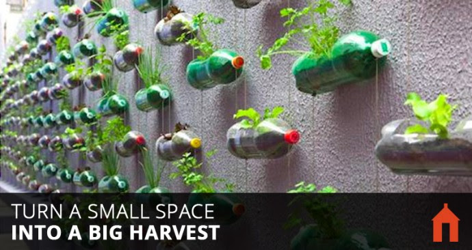 Turn a Small Space Into a Big Harvest  Vertical-gardening-featured-690x366