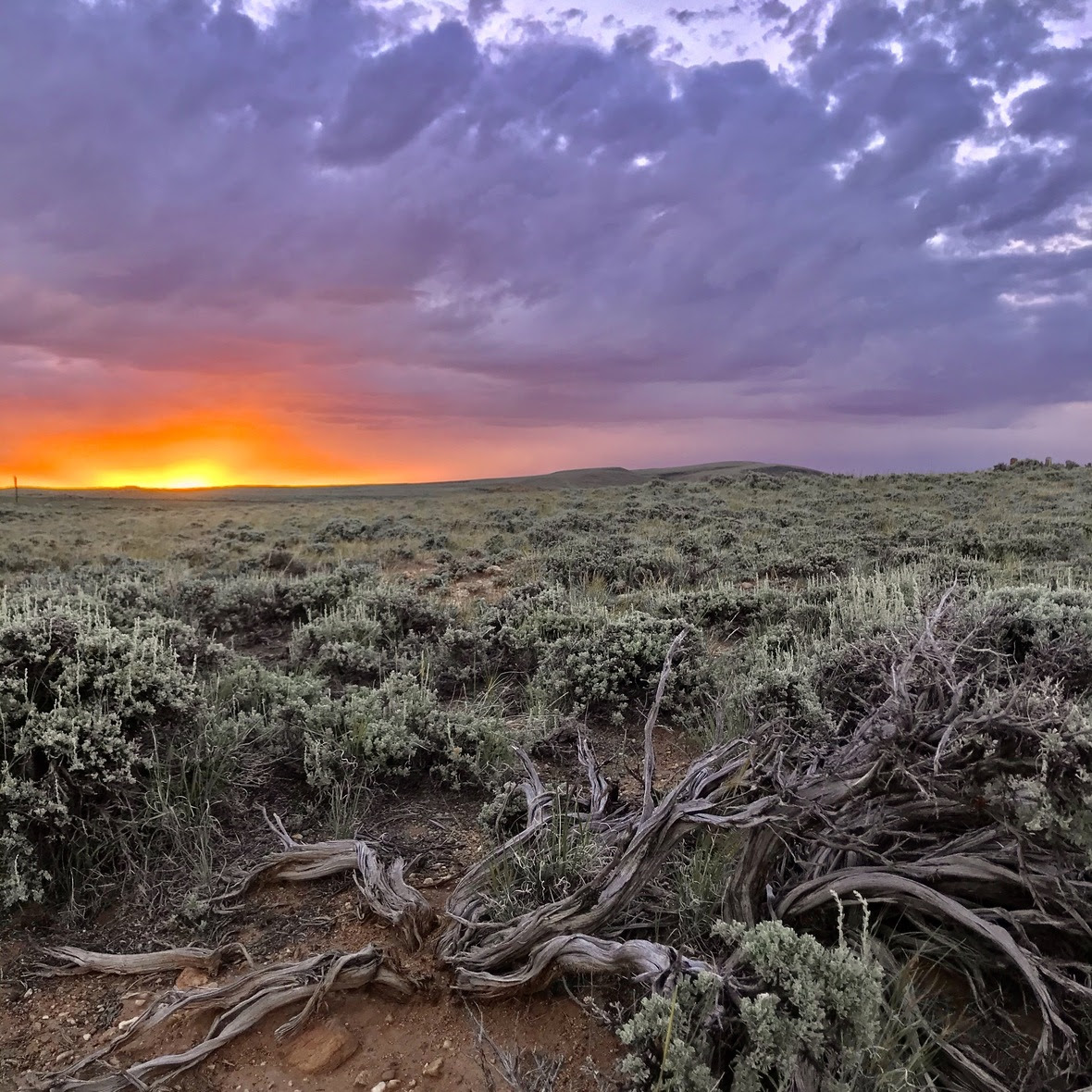 Sage Sunset Wyoming