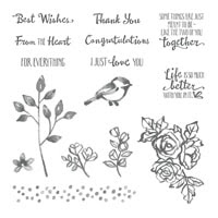 Petal Palette Clear-Mount Stamp Set Petal Palette Clear-Mount Stamp Set