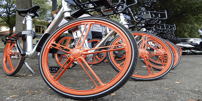 BikeSharing2 Firenze