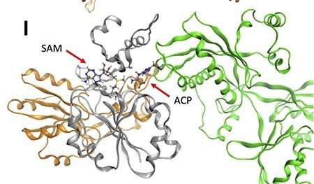 Global team of scientists discover new gene causing severe neurodevelopmental delays