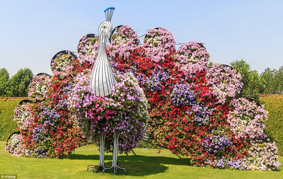 Peacock topiary covered in an array of colourful flowers at the largest natural flower garden in the world