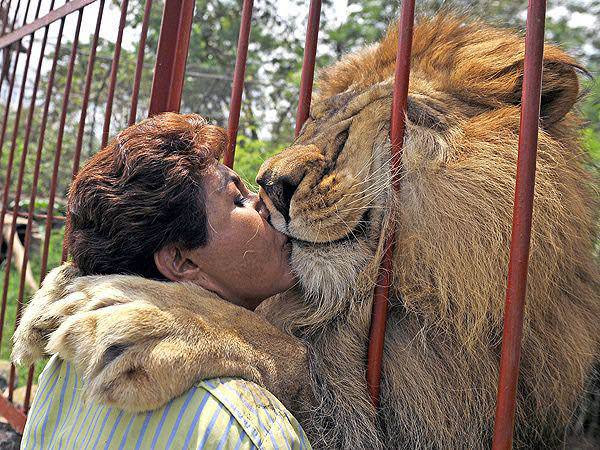 Un câlin... Cce85106-8c53-4b26-b6aa-a2b81f5bf694