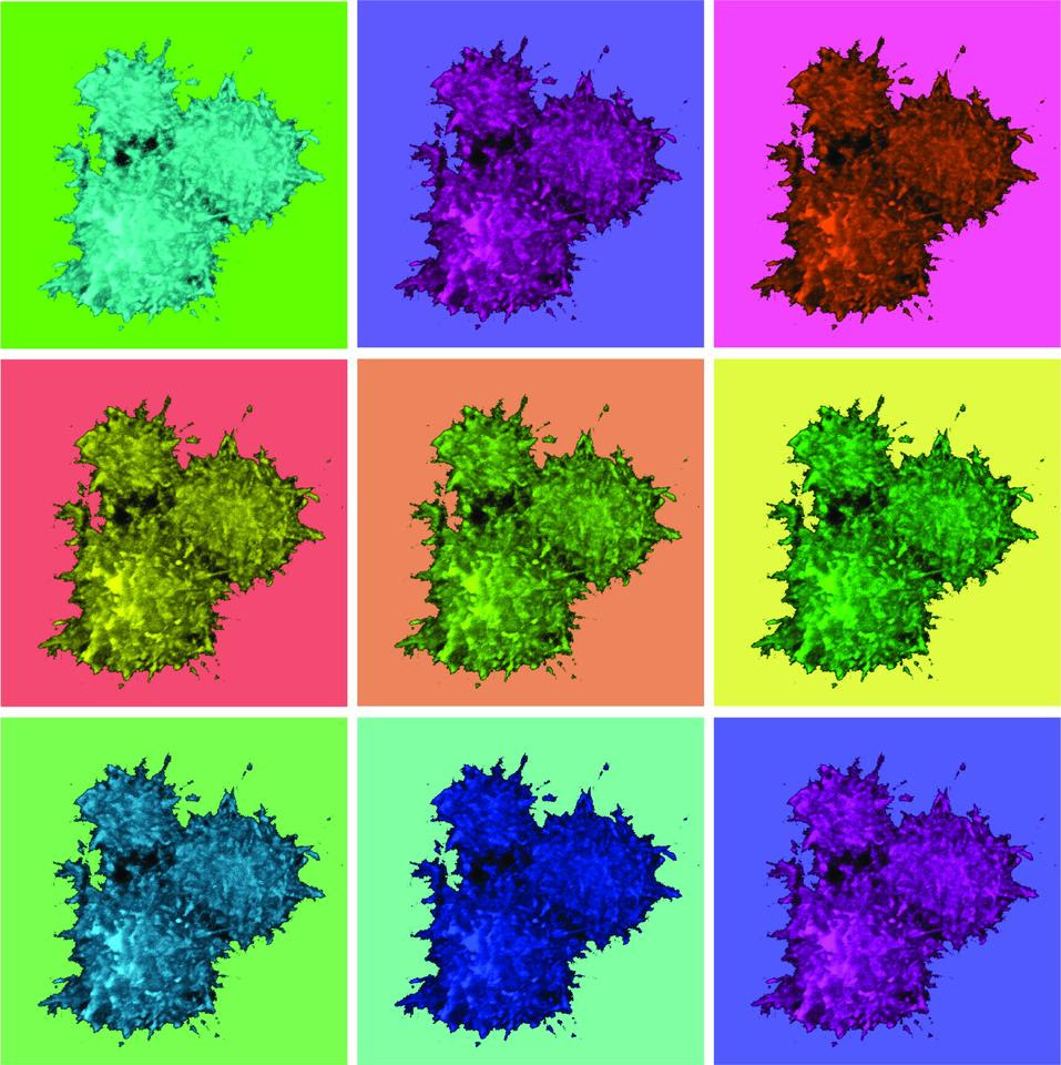 ASC specks, made up of ASC proteins, shown in different colors