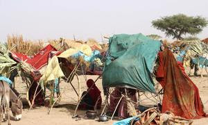 Ежедневно тысячи беженцев пересекают границу с Чадом, спасаясь от насилия в Судане.