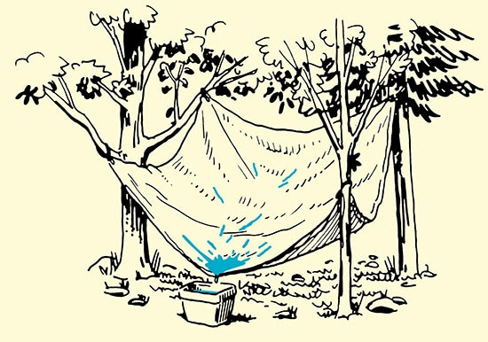 tarp collecting water into container forest illustration