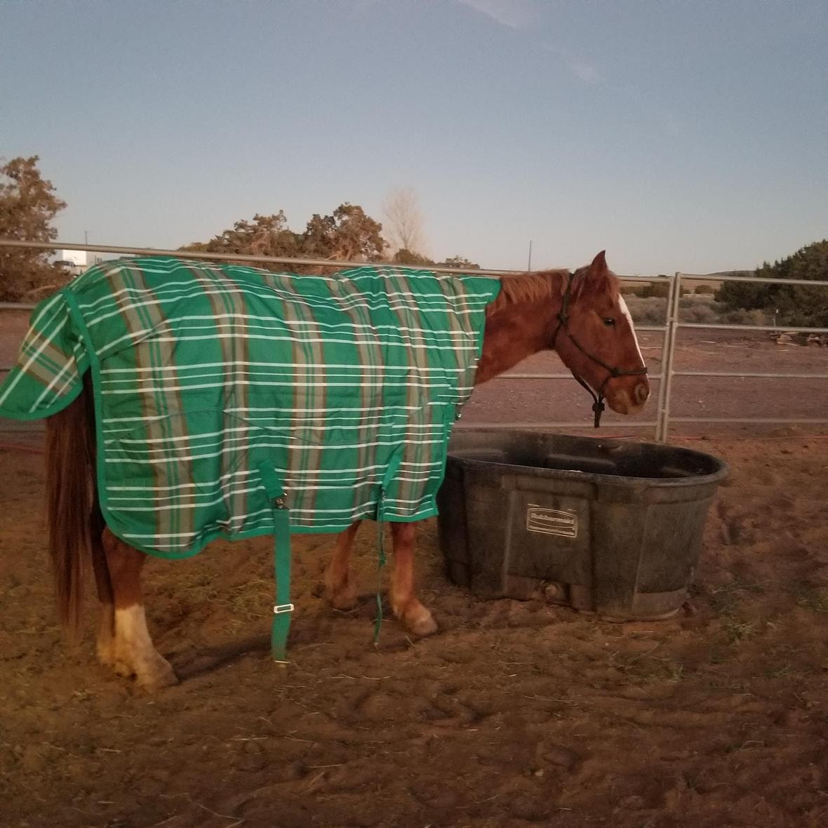 20181220 her new blanket