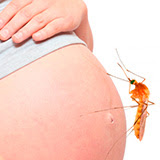 Acuerdan un protocolo en relación a zika y embarazo