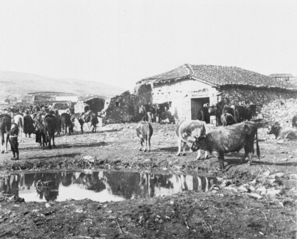 arnissa9-1912-13