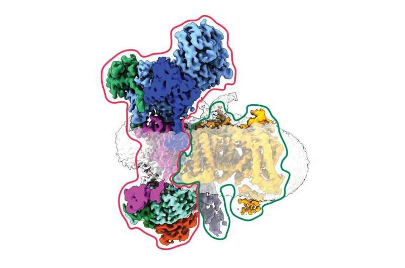 Beating seizures by jamming the cellular circuitry