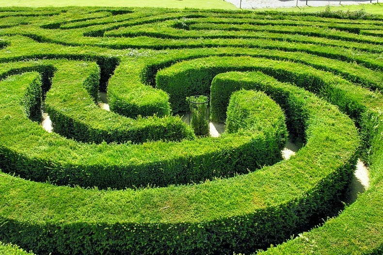 maze