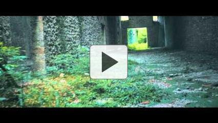 < VIDEO >
