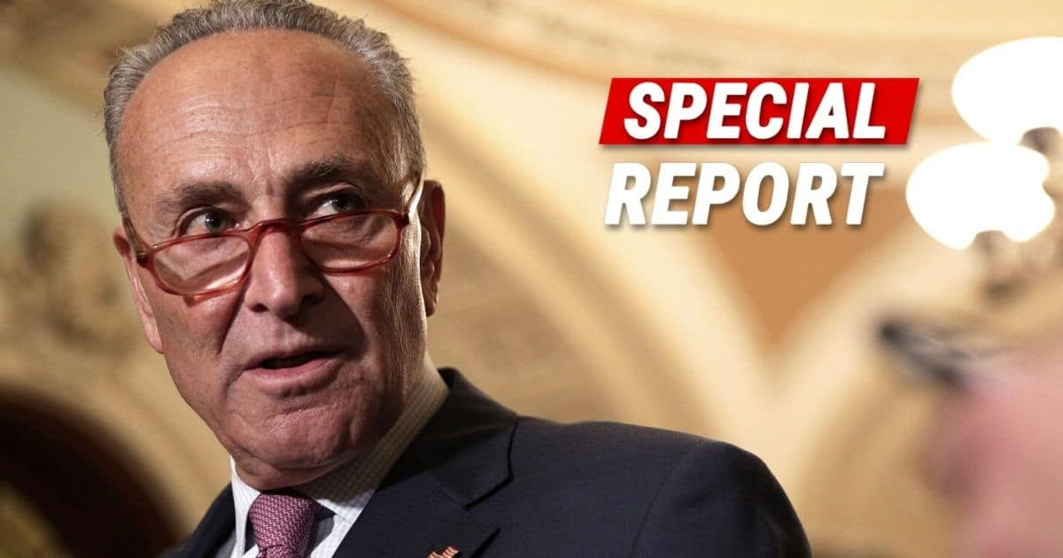 Chuck Schumer Makes Colossal Mistake - And Now the Federal Government Is Heading For Disaster