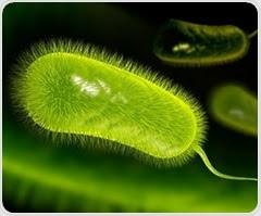 Gastric environment permanently changes in the presence of Helicobacter pylori infection