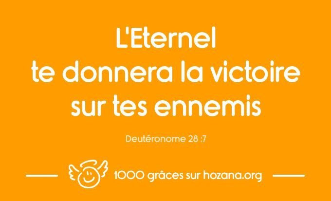 1000 Grâces Divines - Un Texte chaque Jour - Deuteronome_28_7_preview