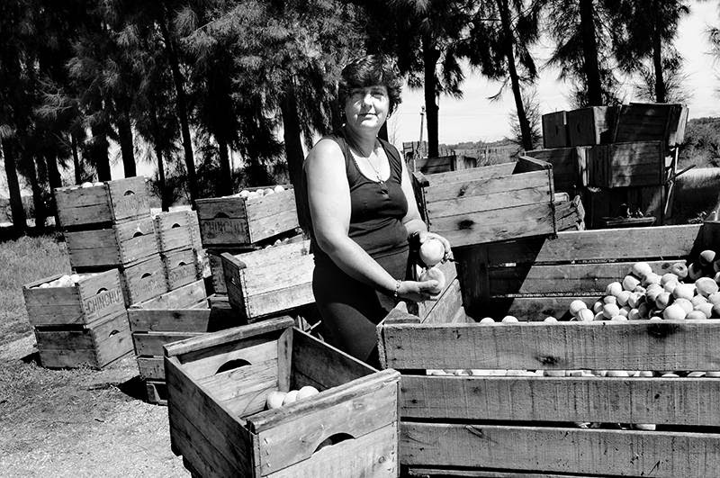 Lilián Arbelo, productora de duraznos, en su chacra de Rincón del Colorado, Canelones. / Foto: Pablo Nogueira (archivo, febrero de 2014) 