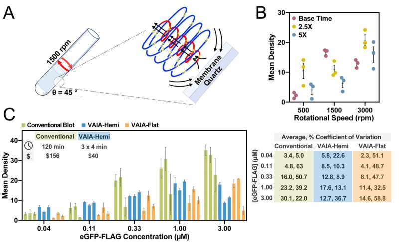 Big step in rapid diagnostics