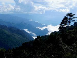 Sale of Primeval Forests Puts Central American Cloud Forest in Jeapordy
