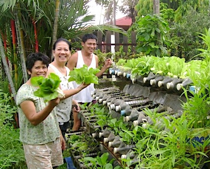 Philippines: Urban greening – vegetable gardens in the cities