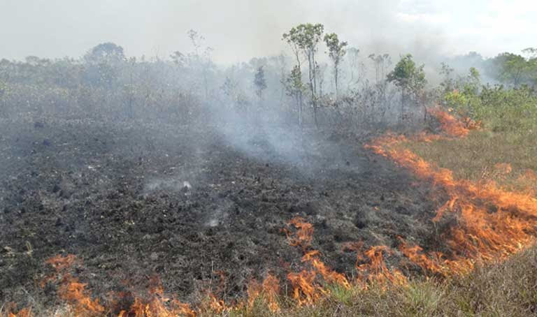 Resultado de imagen para incendio en el amazonia