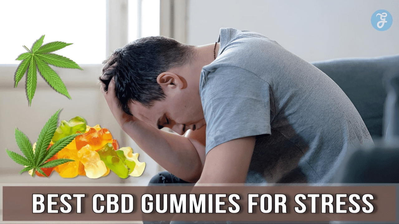 15 Best CBD Gummies for Stress: Say Goodbye to Anxiety