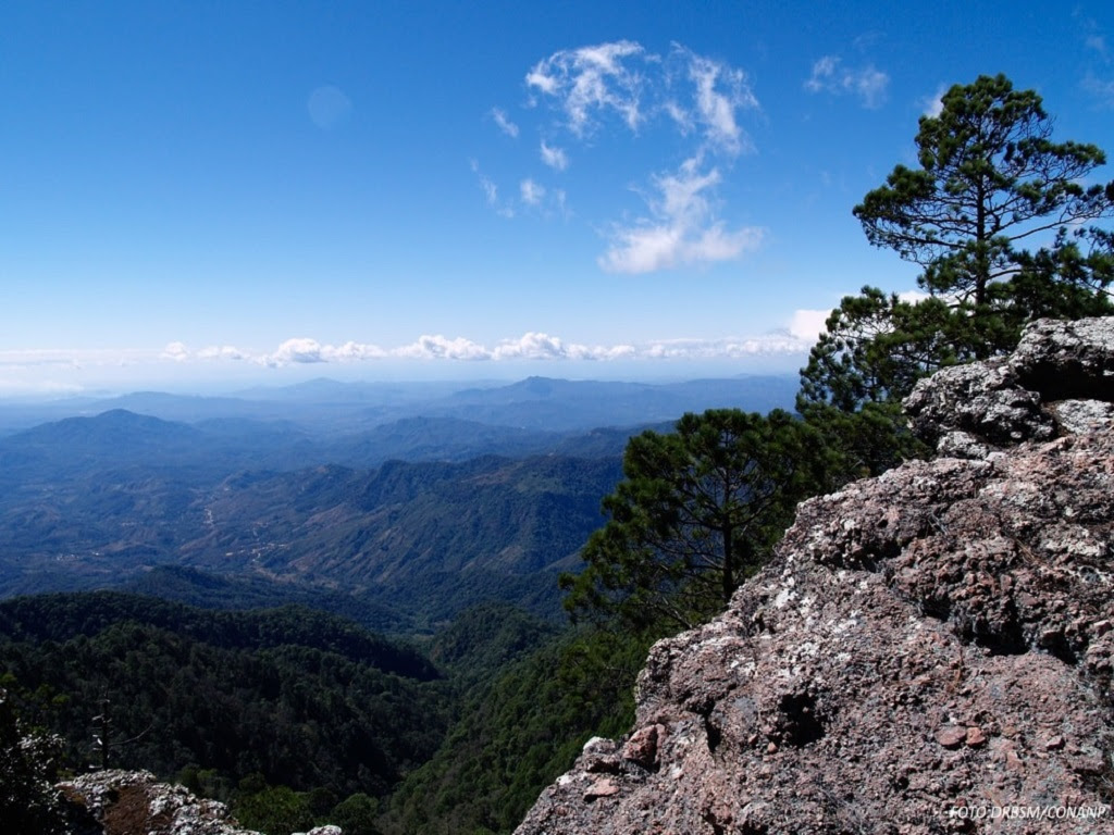 Deforestación, minería y narcotráfico afectan a la Reserva de Manantlán