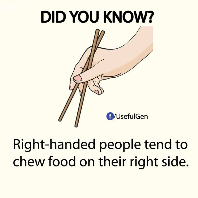 7. Người thuận tay phải có xu hướng nhai thức ăn ở phía bên phải.,sự thật thú vị,sự thật đáng kinh ngạc,những điều thú vị trong cuộc sống,có thể bạn chưa biết