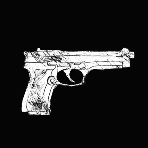 A pistol surrounded by a "No" symbol, with text reading: Abolish armed supremacy