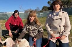 Historia de una liberación: la perra Mica y el equipo de 'La que se avecina'