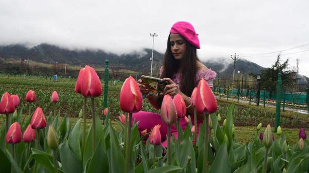  Tourists enjoy the beauty of Asia's largest Tulip Garden on the foot hills of Zabarwan overlooking Dal Lake in Srinagar on March 24 2021. 