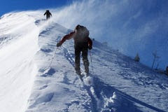 Snow storm Stock Photography