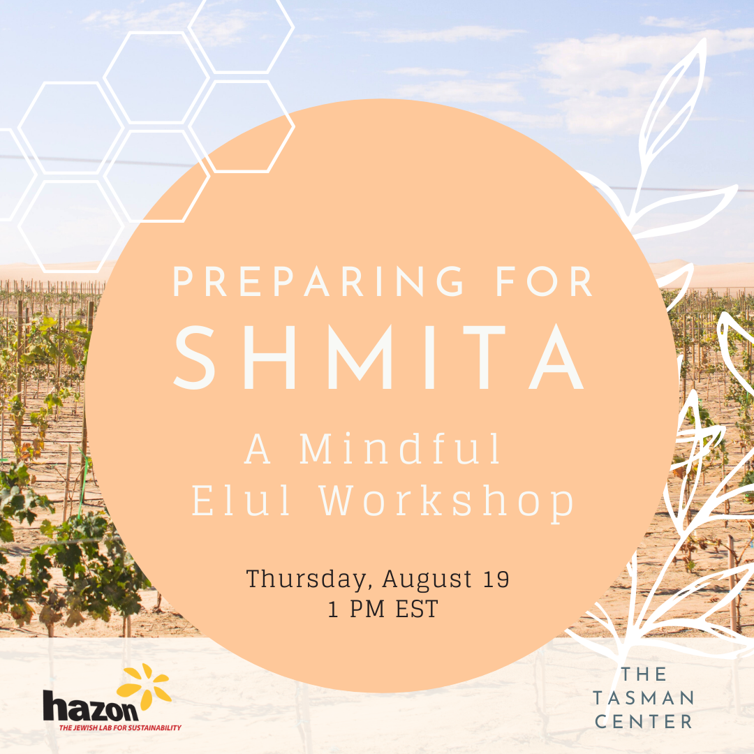 Preparing for Shmita, Thursday, August 19, 1pm EST