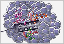 Illustration of cylindrical device inside a tumor.