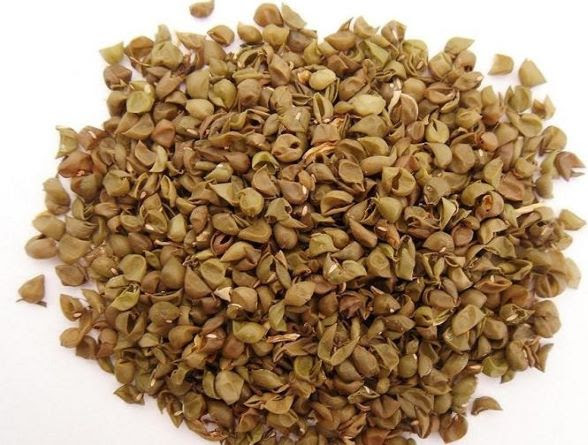 Đậu xanh – loại hạt giàu dinh dưỡng, chống oxy hóa, bổ dưỡng mùa dịch - Ảnh 3. Đậu xanh – loại hạt giàu dinh dưỡng, chống oxy hóa, bổ dưỡng mùa dịch - Ảnh 3.