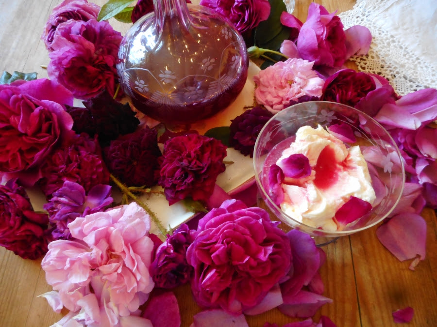 Roses surrounding rose petal syrup with kefir ice cream