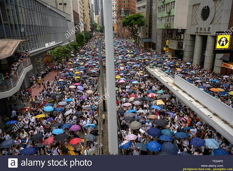 Hong kong crisis-10 Hong kong crisis-10