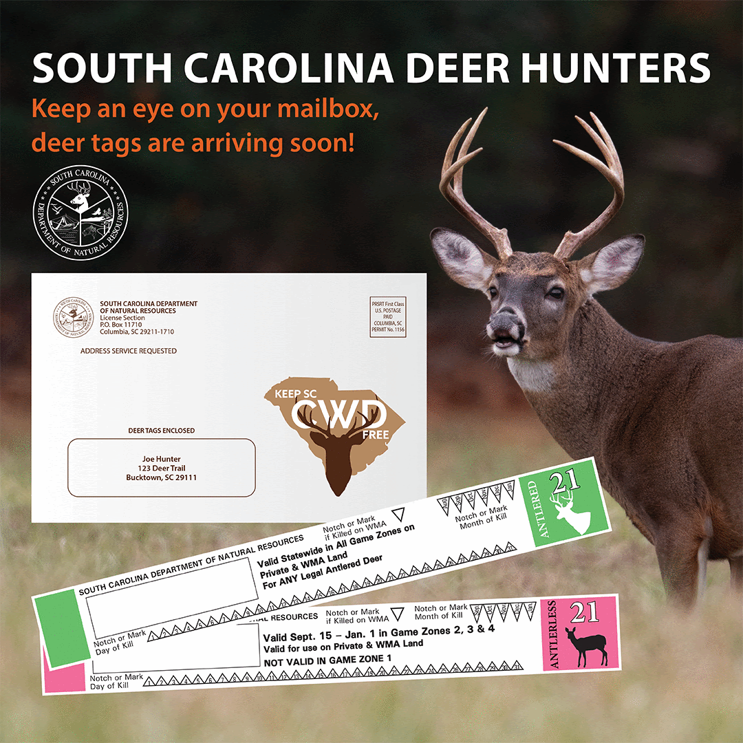 Wv Deer Tags Printable