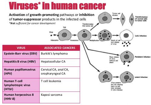 11 nguyên nhân gây ung thư 3ea7321405b74ca68145952e16ac4323