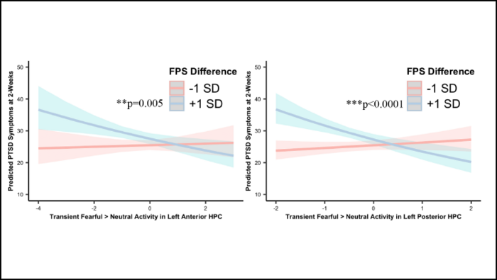 Severity of PTSD Symptoms Linked to Decreased Activity in Hippocampus