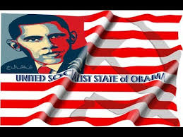 Image result for obama overthrow of u.s. constitution and u.s. bill of rights