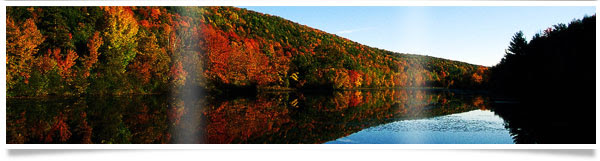 reflective-fall-trees-bnr.jpg