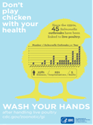 Don't Play Chicken with Your Health. Wash Your Hands After Touching Animals.