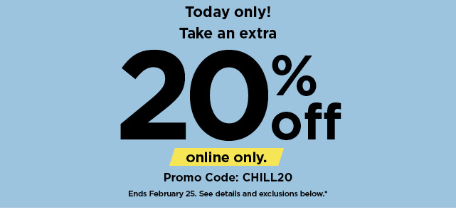 flash sale take 20% off using promo code CHILL20. shop now.