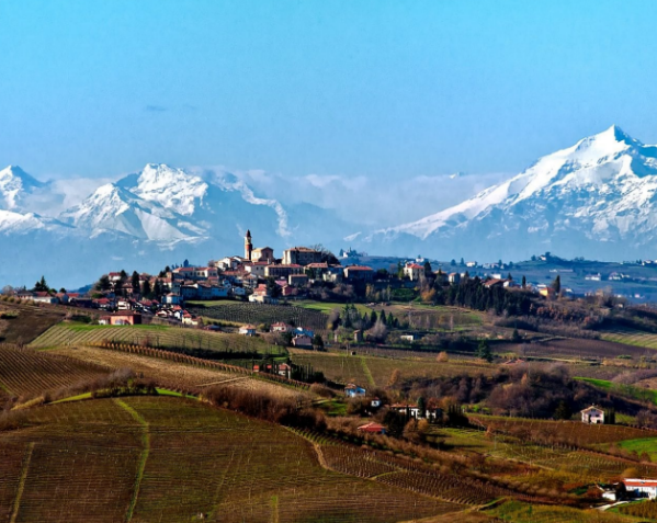 Cavallotto Estate - producer of Barolo Bricco Boschis 2016