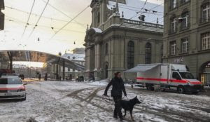 Switzerland: Muslim migrant arrested for bomb threat in church